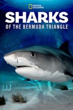 Watch Sharks of the Bermuda Triangle (TV Special 2020) Soap2day