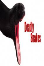 Watch National Geographic Wild Deadly Snakes Soap2day
