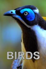 Watch Birds (Short 2021) Soap2day