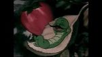 Watch The Wacky Worm (Short 1941) Soap2day