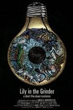 Watch Lily in the Grinder Soap2day