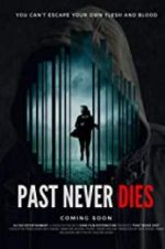 Watch The Past Never Dies Soap2day