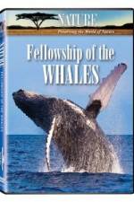 Watch Fellowship Of The Whales Soap2day