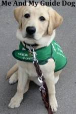 Watch Me And My Guide Dog Soap2day
