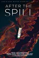 Watch After the Spill Soap2day