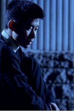 Watch The Place on the Tricorne Soap2day