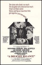 Watch A Delicate Balance Soap2day