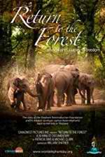 Watch Return to the Forest Soap2day