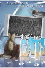 Watch Shorts for Cats Soap2day