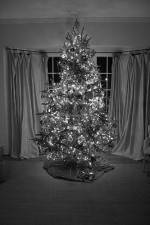 Watch The Christmas Miracle Soap2day