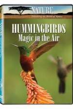 Watch Hummingbirds Magic in the Air Soap2day