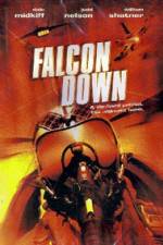 Watch Falcon Down Soap2day
