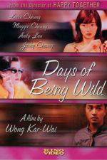 Watch Days of Being Wild Soap2day