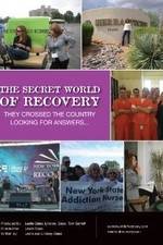 Watch The Secret World of Recovery Soap2day