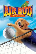 Watch Air Bud: Spikes Back Soap2day