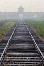 Watch AUSCHWITZ: FACTORIES OF DEATH Soap2day