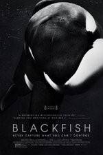 Watch Blackfish Soap2day