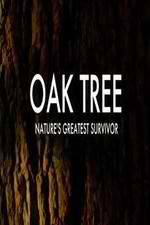 Watch Oak Tree Natures Greatest Survivor Soap2day