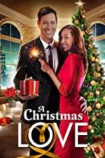 Watch A Christmas Love Soap2day