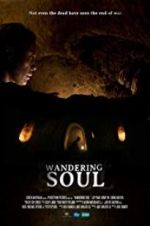 Watch Wandering Soul Soap2day