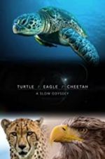 Watch Turtle, Eagle, Cheetah: A Slow Odyssey Soap2day