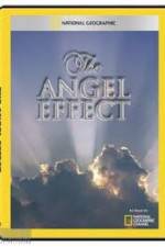 Watch National Geographic Explorer - The Angel Effect Soap2day