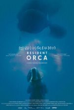 Watch Resident Orca Soap2day