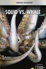 Watch National Geographic Wild - Squid Vs Whale Soap2day