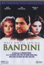 Watch Wait Until Spring, Bandini Soap2day