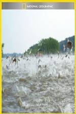 Watch National Geographic Hooked Carp Invasion Soap2day
