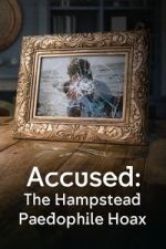 Watch Accused: The Hampstead Paedophile Hoax Soap2day