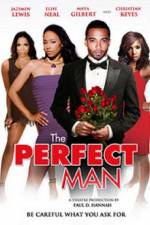 Watch The Perfect Man Soap2day