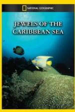 Watch National Geographic Jewels of the Caribbean Sea Soap2day