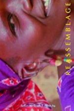 Watch Reassemblage: From the Firelight to the Screen Soap2day