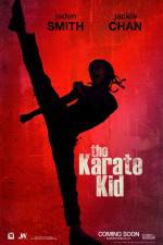 Watch The Karate Kid Soap2day