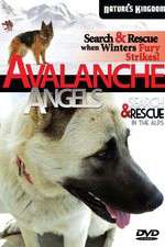 Watch Avalanche Angels Soap2day