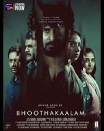 Watch Bhoothakaalam Soap2day