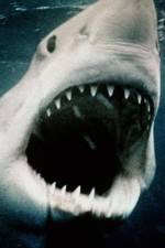 Watch Sharkmania: The Top 15 Biggest Baddest Bloodiest Bites Soap2day