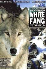 Watch Zanna bianca alla riscossa Soap2day