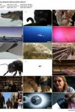 Watch History Channel Evolve: Sex Soap2day