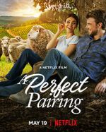 Watch A Perfect Pairing Soap2day