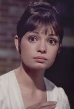 Watch Gidget Grows Up Soap2day