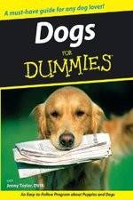 Watch Dogs for Dummies Soap2day
