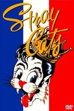 Watch Stray Cats Rock Paris Soap2day