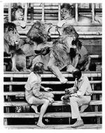 Watch Roar: The Most Dangerous Movie Ever Made Soap2day