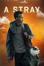 Watch A Stray Soap2day