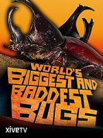 Watch World\'s Biggest and Baddest Bugs Soap2day