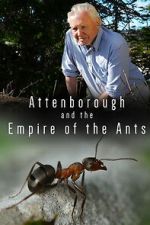 Watch Attenborough and the Empire of the Ants Soap2day