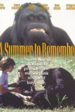 Watch A Summer to Remember Soap2day