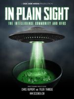 Watch In Plain Sight: The Intelligence Community and UFOs Soap2day